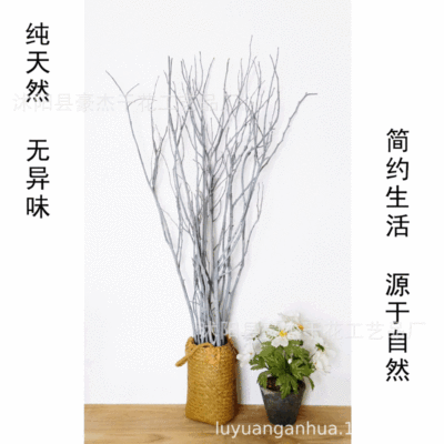 树枝花艺装饰树枝配件 田园干枝 婚庆礼堂背景搭建装饰枝树枝摆件