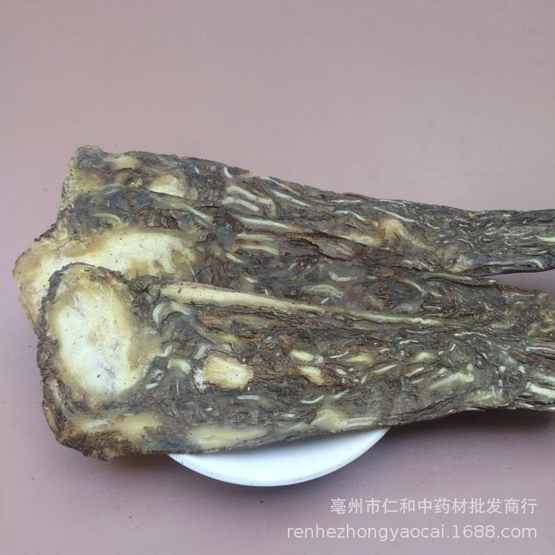 Whole Dang Gui Slices 500g Dried Angelica Sinensis Root for Cooking and Herbal Soup quality and texture