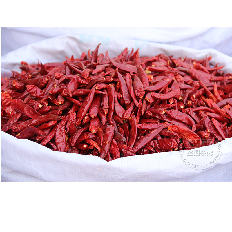 天鹰椒  朝天椒 干辣椒 辣椒干 微辣香 小辣椒 火锅底料 调料批发