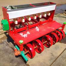 СcCȲNCСNֲCcCСʩʲNC