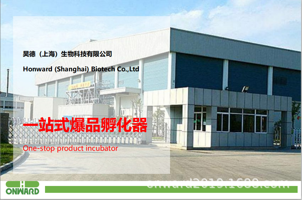 排版插图 (4).png