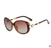 Sunglasses from pearl, elegant comfortable glasses, 2022 collection, wholesale