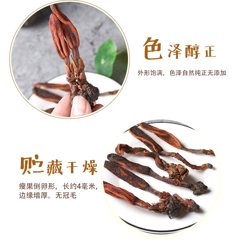 Hui Chun Cao (Boschniakia rossica) — Dried Whole Food Herb for Wine Infusion & Decoction key features