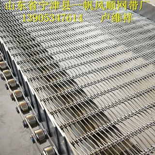 加工定制不锈钢输送带 清洗机网带网链 厂家直销 价格优惠