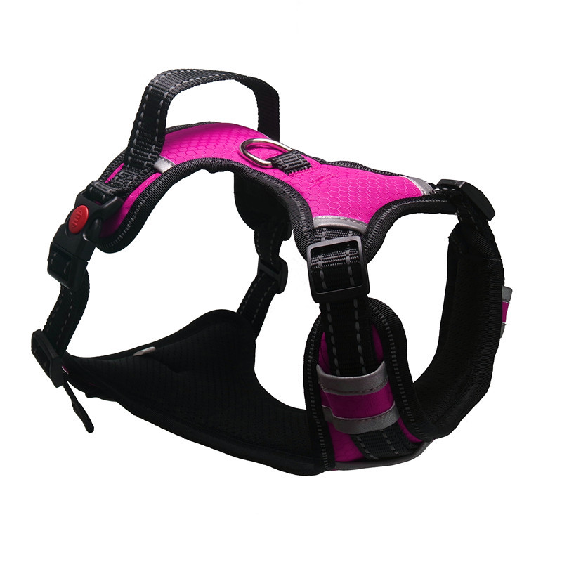 Dog Harness Image 5