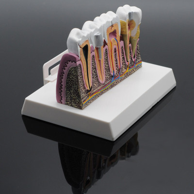 10770048828_711424217.400x400