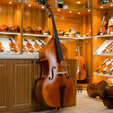 EUB3000 歐洲原裝進口實木手工專業演奏低音提琴倍大提琴大貝司