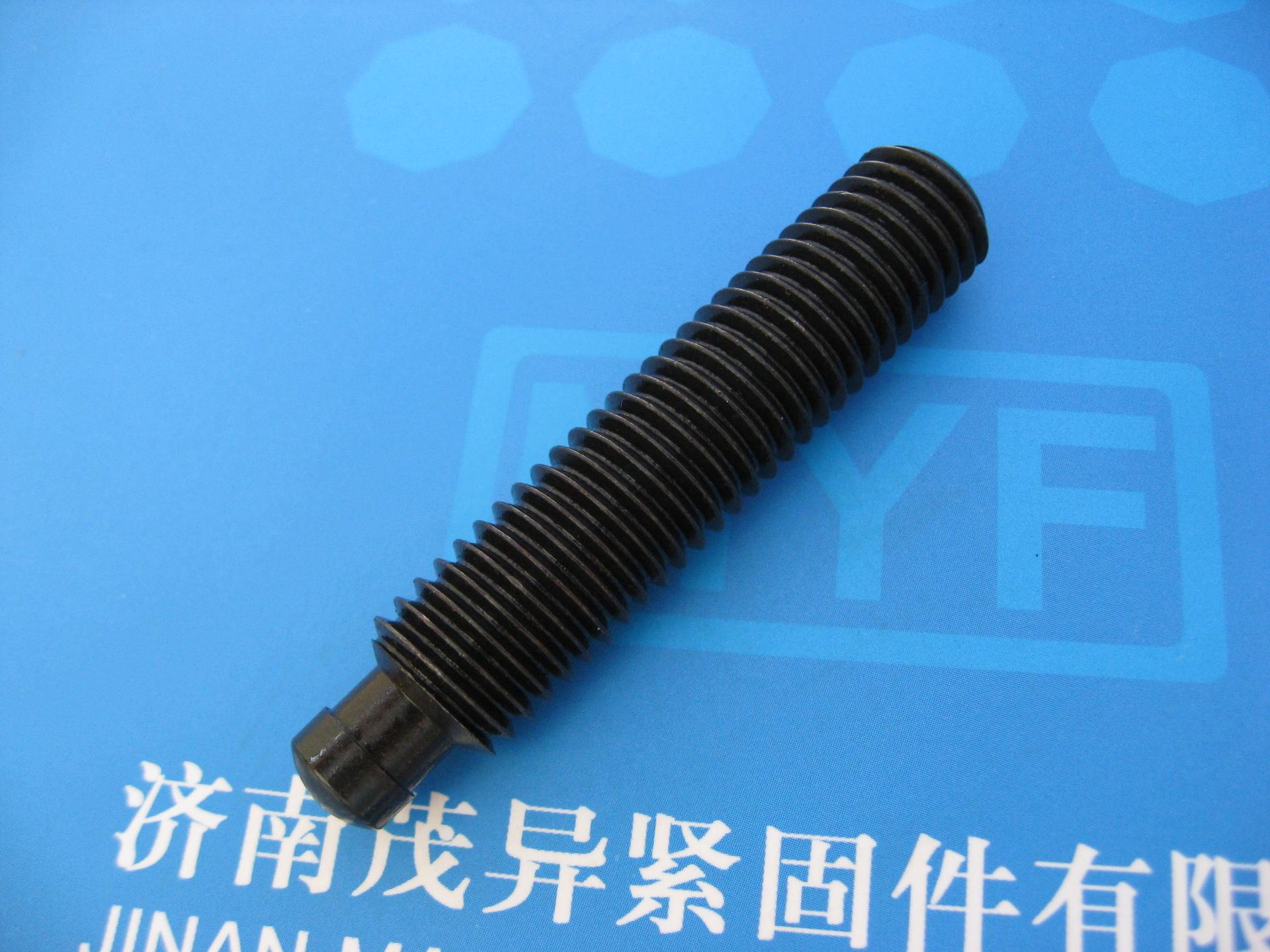 带推力点的螺钉DIN6332 (1)