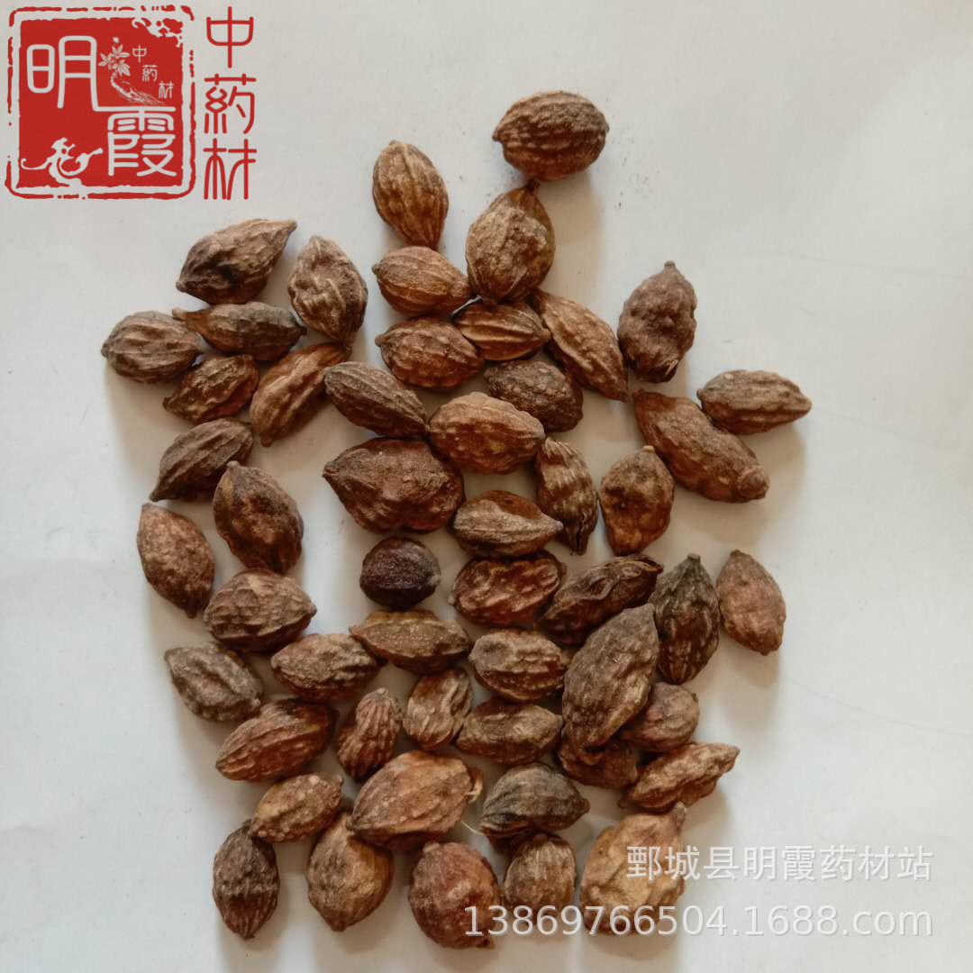 明霞药材【益智仁】1000克 批发零售 供应中药材 花茶