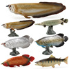 Solid realistic marine animal model, plastic jewelry, toy, minifigure