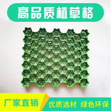 �@�־G��ֲ�ݸ�ͣ܇��λ����܇��б�¾G��ԭ���ϾGɫ5CM��ֲ�ݸ�