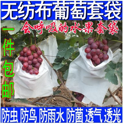 葡萄套袋水果防鸟专用套袋无纺布葡萄袋防虫防水抗老化葡萄包装袋