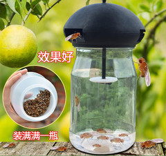 果蠅引誘劑藥水 果蠅誘捕器 原液分裝不釋稀果園菜地引針蜂小實蠅