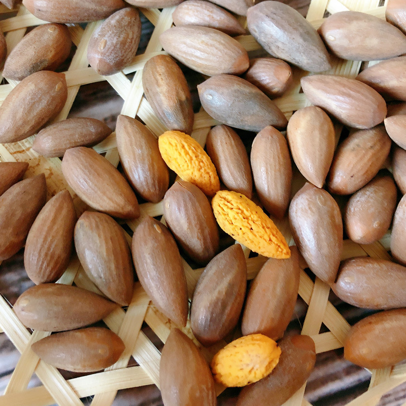 2020新货干果香榧子诸暨枫桥香榧500g袋装坚果炒货 一件代发批发|ru