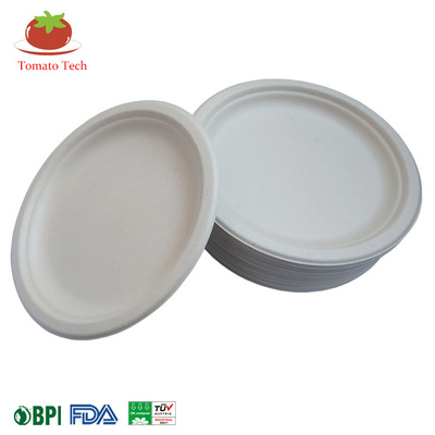 10寸本白色甘蔗漿餐具圓形餐盤壹次性可降解環保壹次性餐具