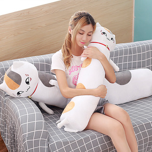 ��������Ԫ��߅��Ŀ���ˎ�؈���ώ�����ë�q������ż�ɲ�ϴ����