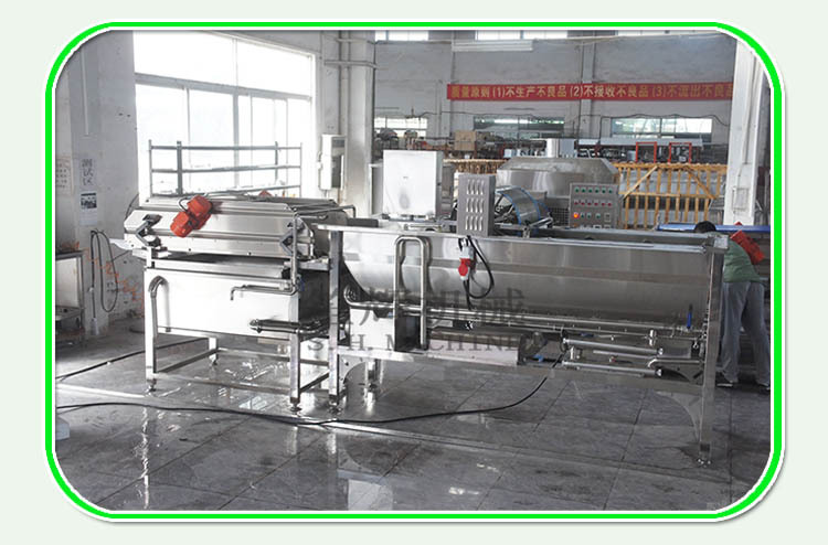 爆款 菠菜清洗设备菜类清洗机果蔬清洗流水线 定做