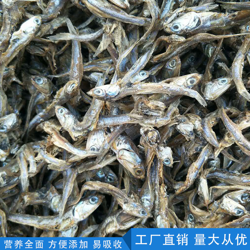 冰冻小杂鱼饲料批发,低价出售冰冻饲料鱼,冰鲜小杂鱼大量批发(第2页)_大山谷图库