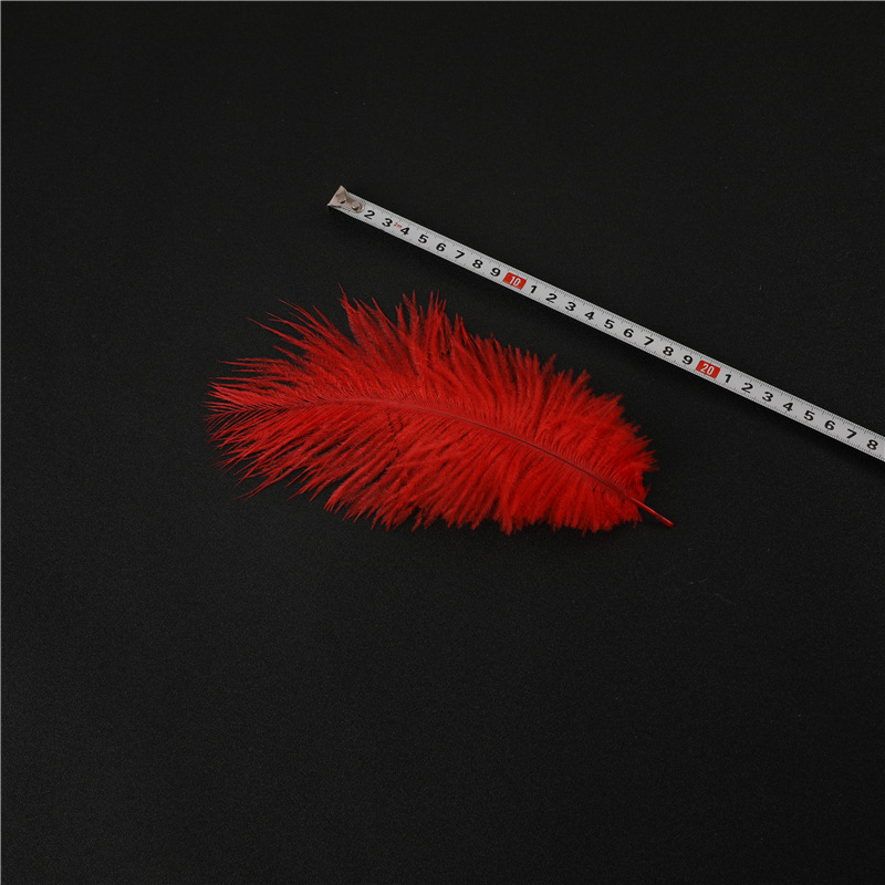 Capture One Catalog14605