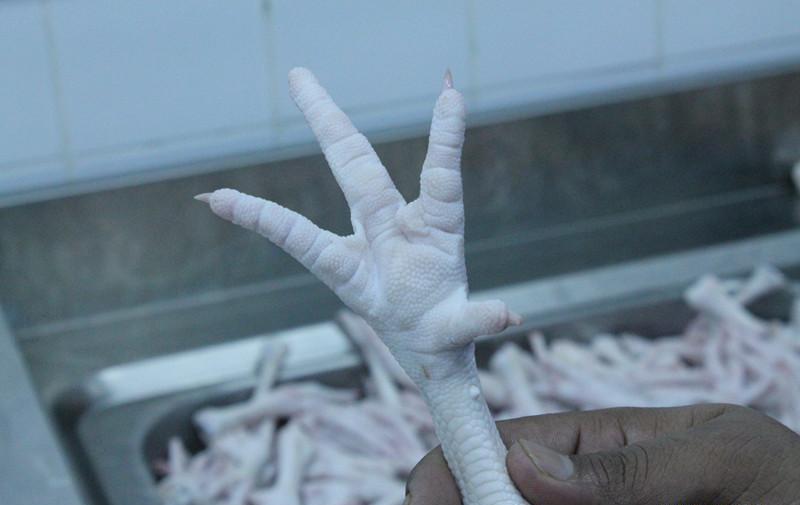 Imported Freezing Chicken feet  Phoenix claw, Frozen Chicken Feet, Brazilian chicken feet, Imported Freezing Chicken feet Phoenix claw