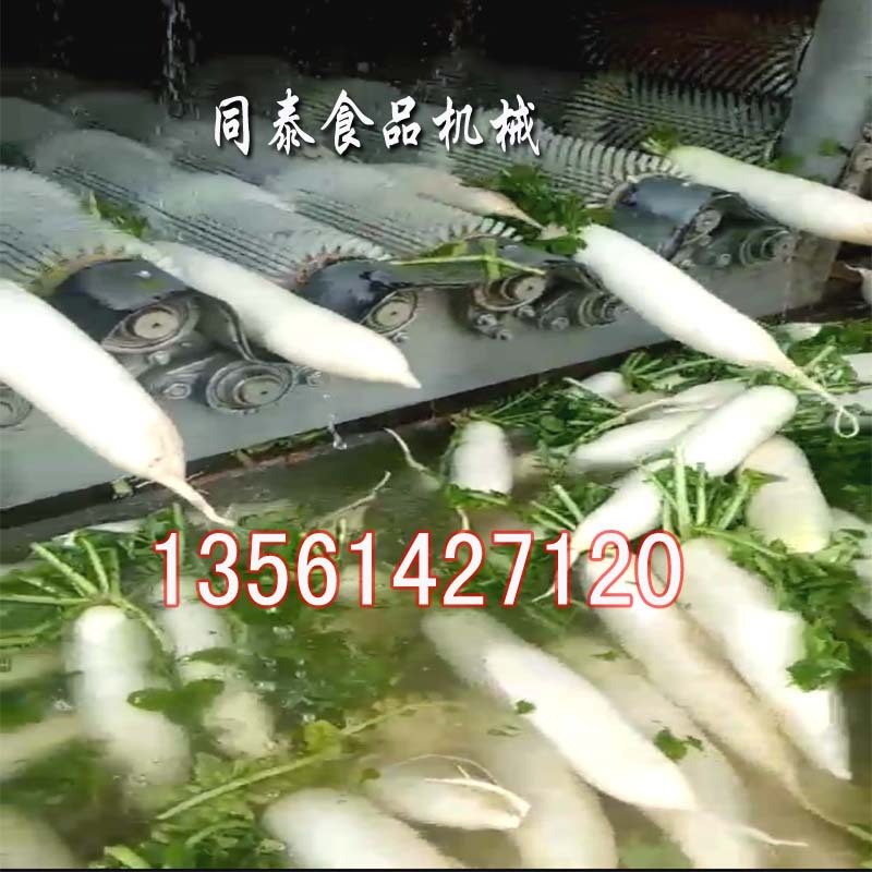 白萝卜清洗机17