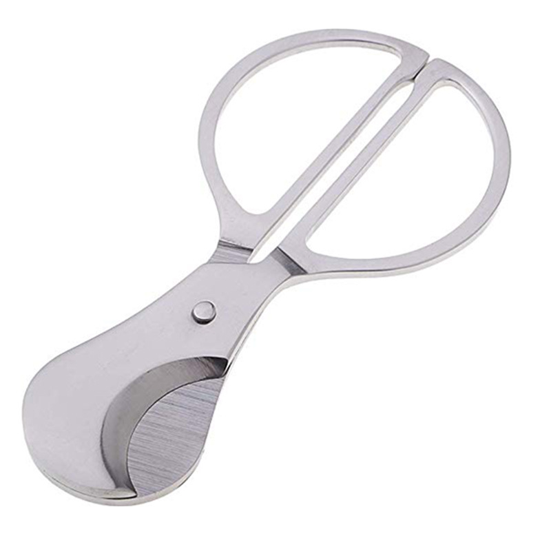 51aQq4NsvgL._AC_SX569_