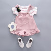 Children's set, rabbit, overall, 0-4 years, Korean style