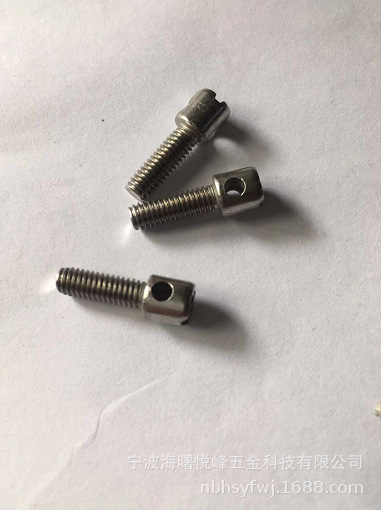 厂家直销304不锈钢铅封螺丝 电表螺丝封表螺钉 带孔螺丝M3-M6供应