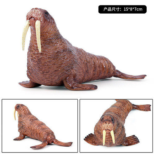 Children's simulated marine wildlife plastic model solid walrus static animal model toy ornaments