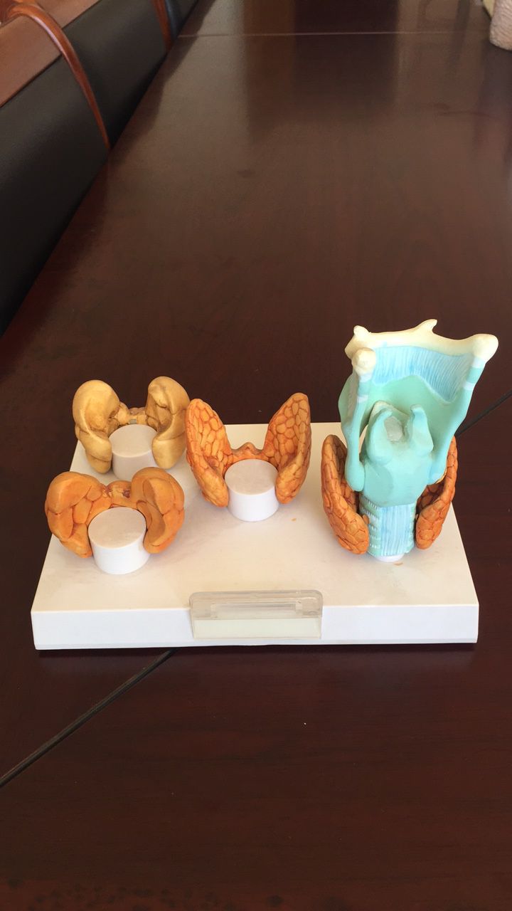 1EF624197C297FE1EF24F2DB32CEEF