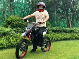 沙滩车;其他摩托车;滑板车