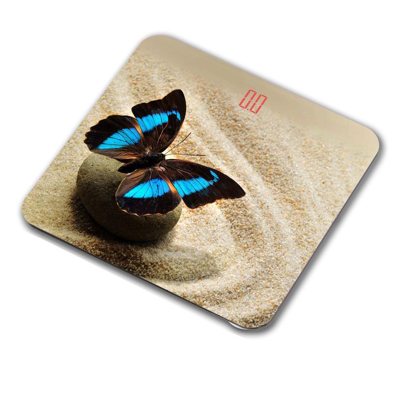 蝴蝶花2013D人体秤钢化玻璃厂家批发