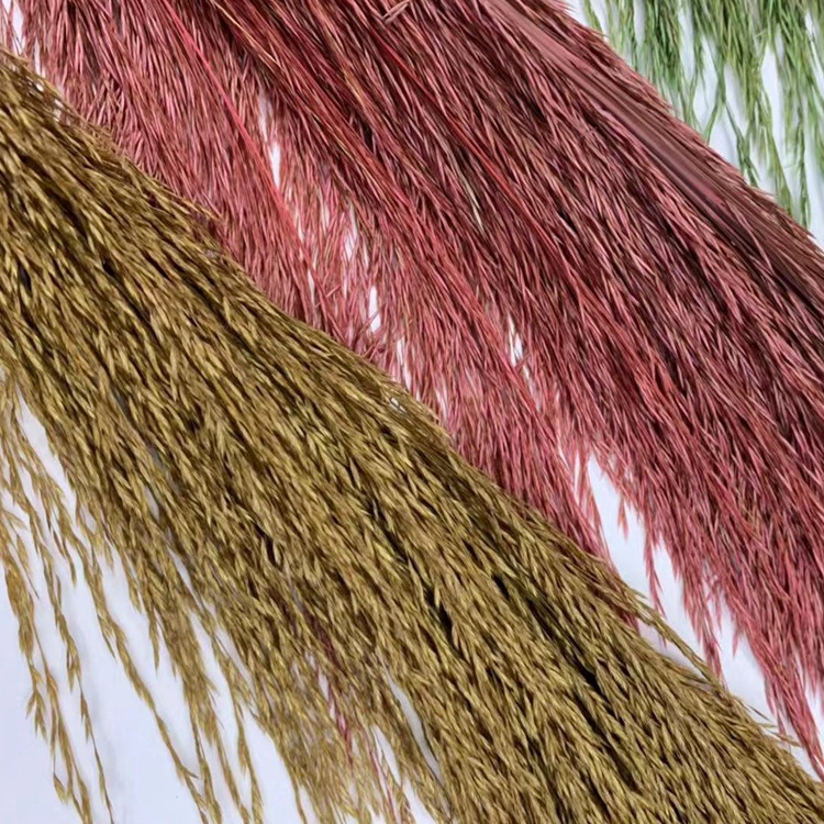 微信图片_20191020212258