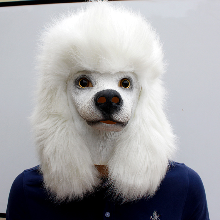 Máscara de Caniche Blanco