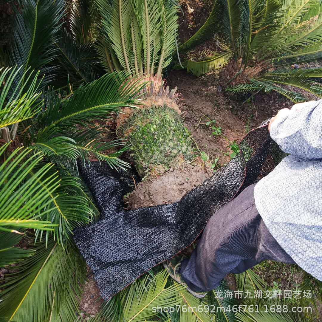微信图片_201905161856324