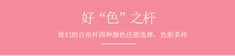 Bâton selfie en Alliage d aluminium - Ref 3386133 Image 33