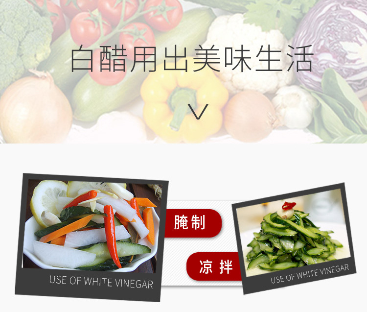 TM-YZBC-10L×2-A_08.j