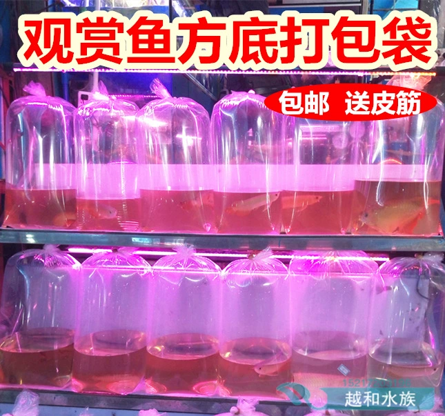 Рыба Упаковочный Мешок Koi Упаковочный Мешок Креветки Декоративные Рыбы Воздушный Транспорт Кислород Упаковочный Мешок Пластиковый Мешок Четыре Угла Квадратный Нижний Мешок