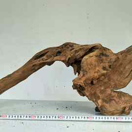 异型沉木造景鱼缸水陆缸全国包邮需要什么尺寸可联系客服