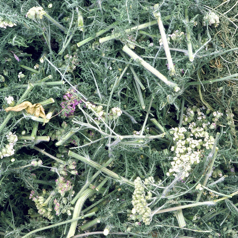 Низкотемпературная сушеная сельская трава травы 500 г вспененного масла и ароматерапия и другое специальное сырье