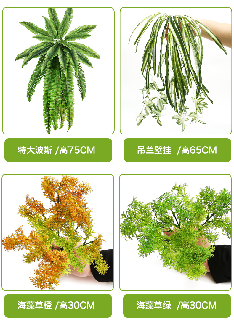小植物_03.jpg