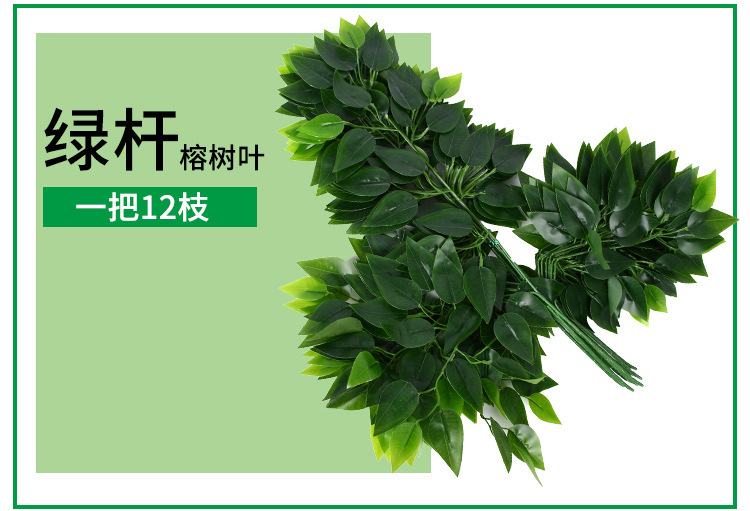 10772969264_237492366