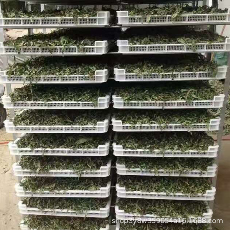 菊花烘干设备甘草烘干机玫瑰花烘干箱煤电两用的系列支持加工