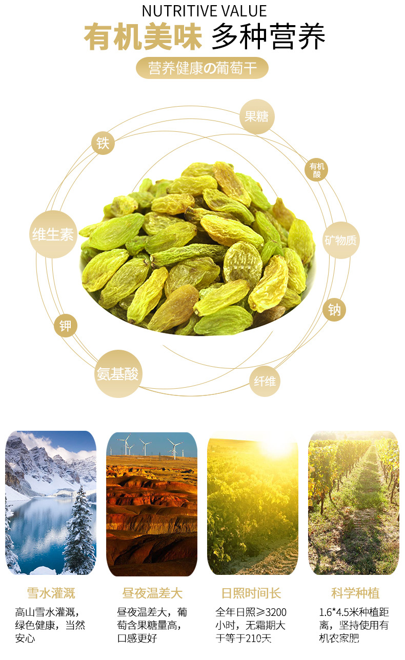 06黄绿葡萄干_03