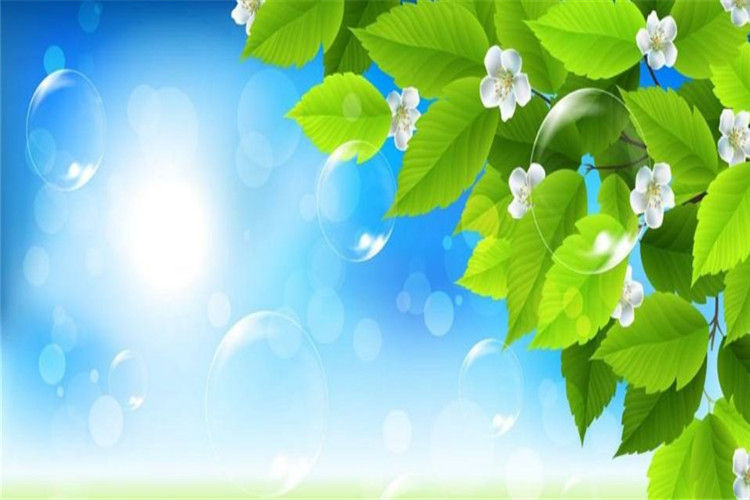 微信图片_20190612092844