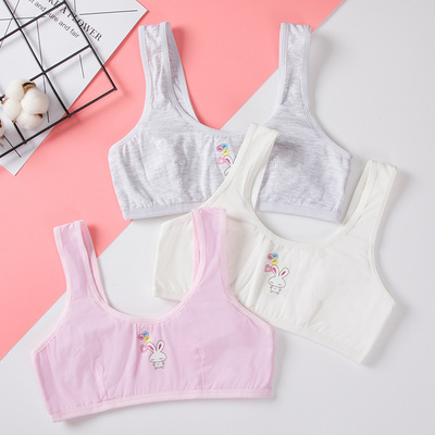 发育期小背心女学生少女内衣大童9-12女孩小学初中生16岁女童文胸