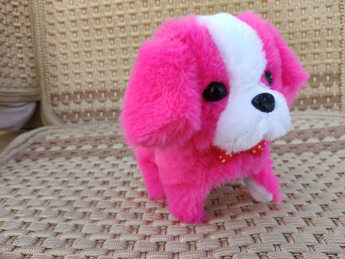 微信图片_20190324190050