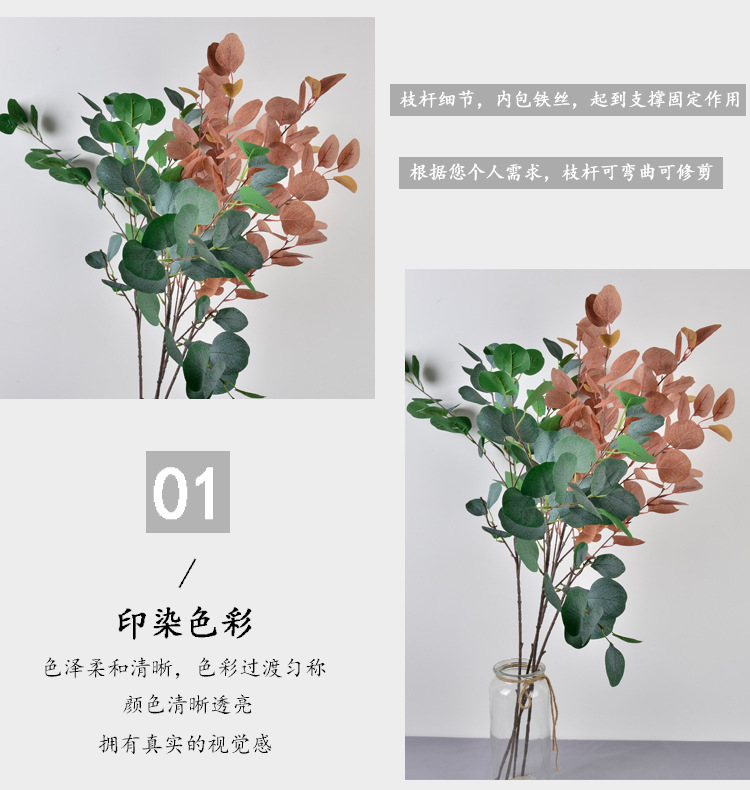 单枝尤加利详情_r4_c1.jpg