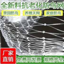 防鸟网透明白色综丝尼龙防鸟网泥鳅养殖 葡萄果园果树樱桃鱼线网