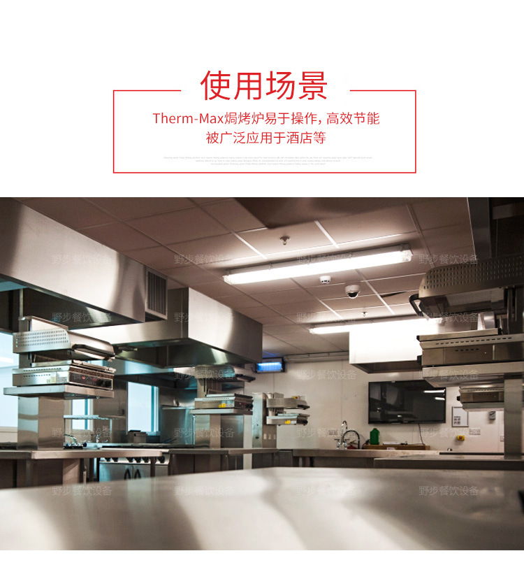 TMS-1_04.jpg